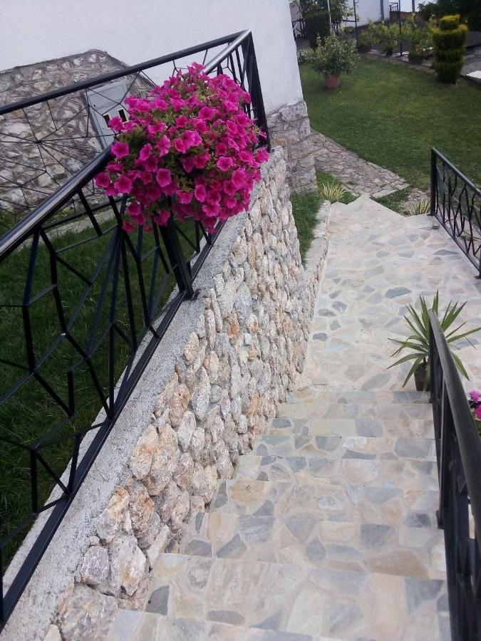 Guest House Stevovski Elshani Exterior foto
