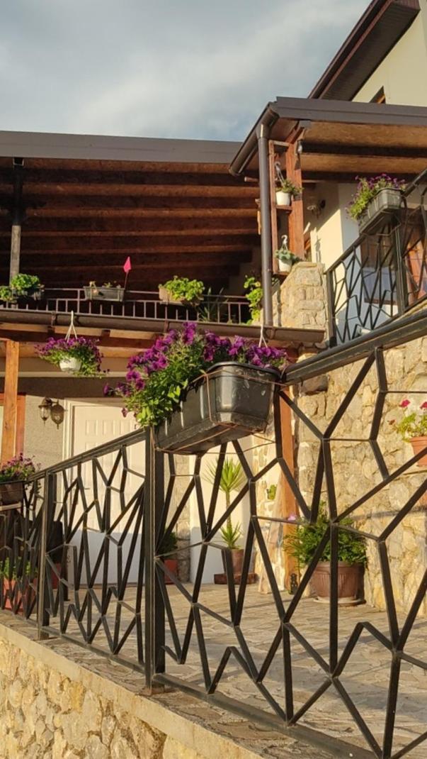 Guest House Stevovski Elshani Exterior foto