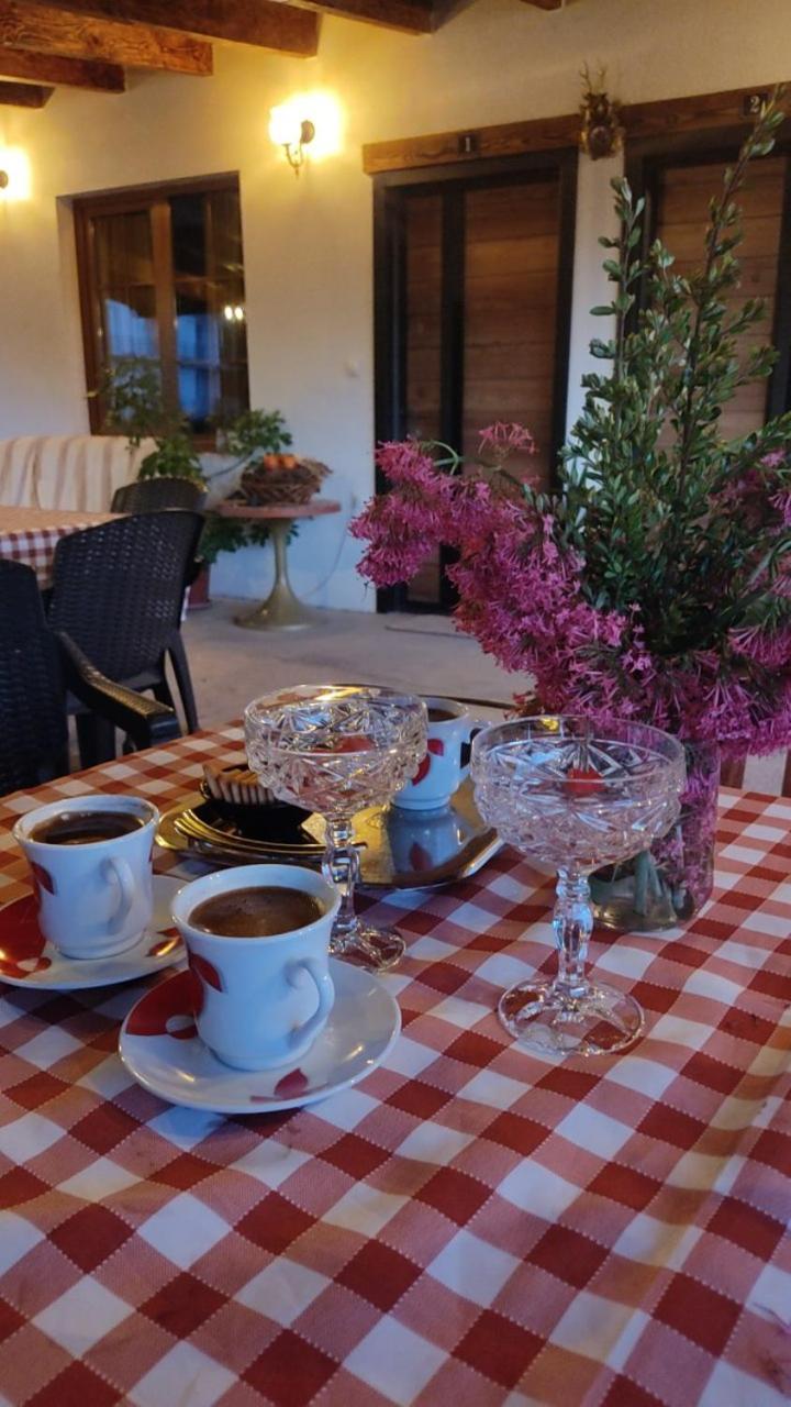 Guest House Stevovski Elshani Exterior foto
