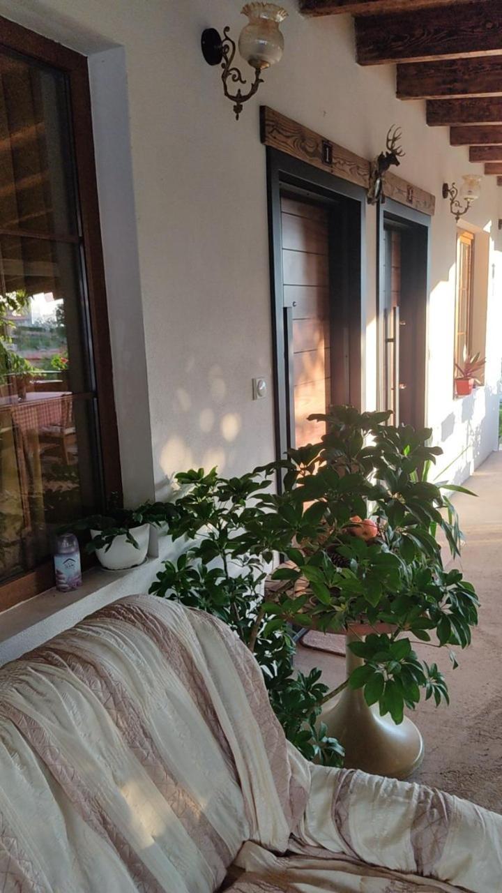 Guest House Stevovski Elshani Exterior foto